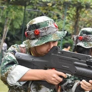 F1最新消息，赛车世界的速度与激情