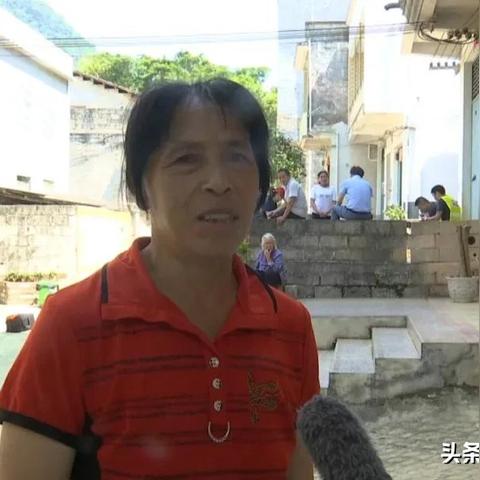 天等公路最新消息，交通建设与民生共进