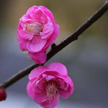 蛇年出生者今年财运展望